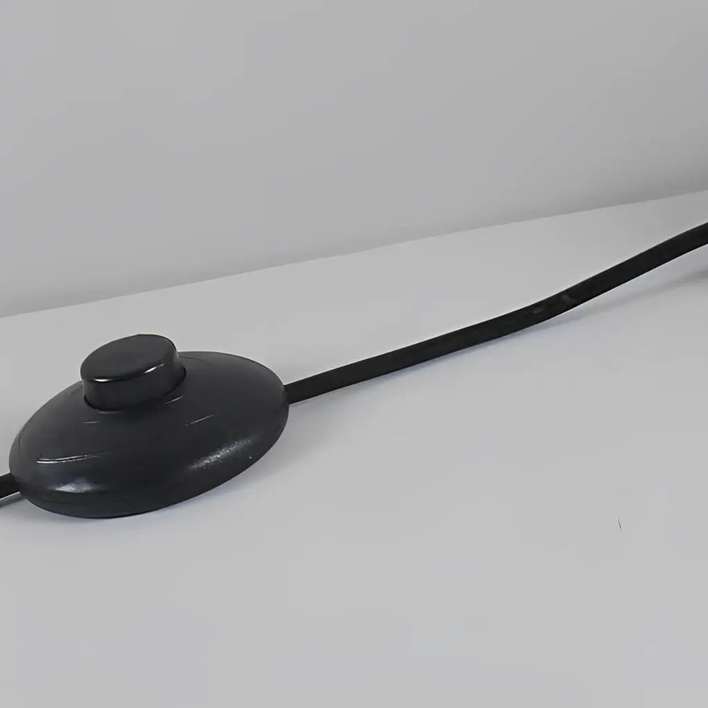 Contemporary Minimalist Oval LED Floor Lamp Luxe