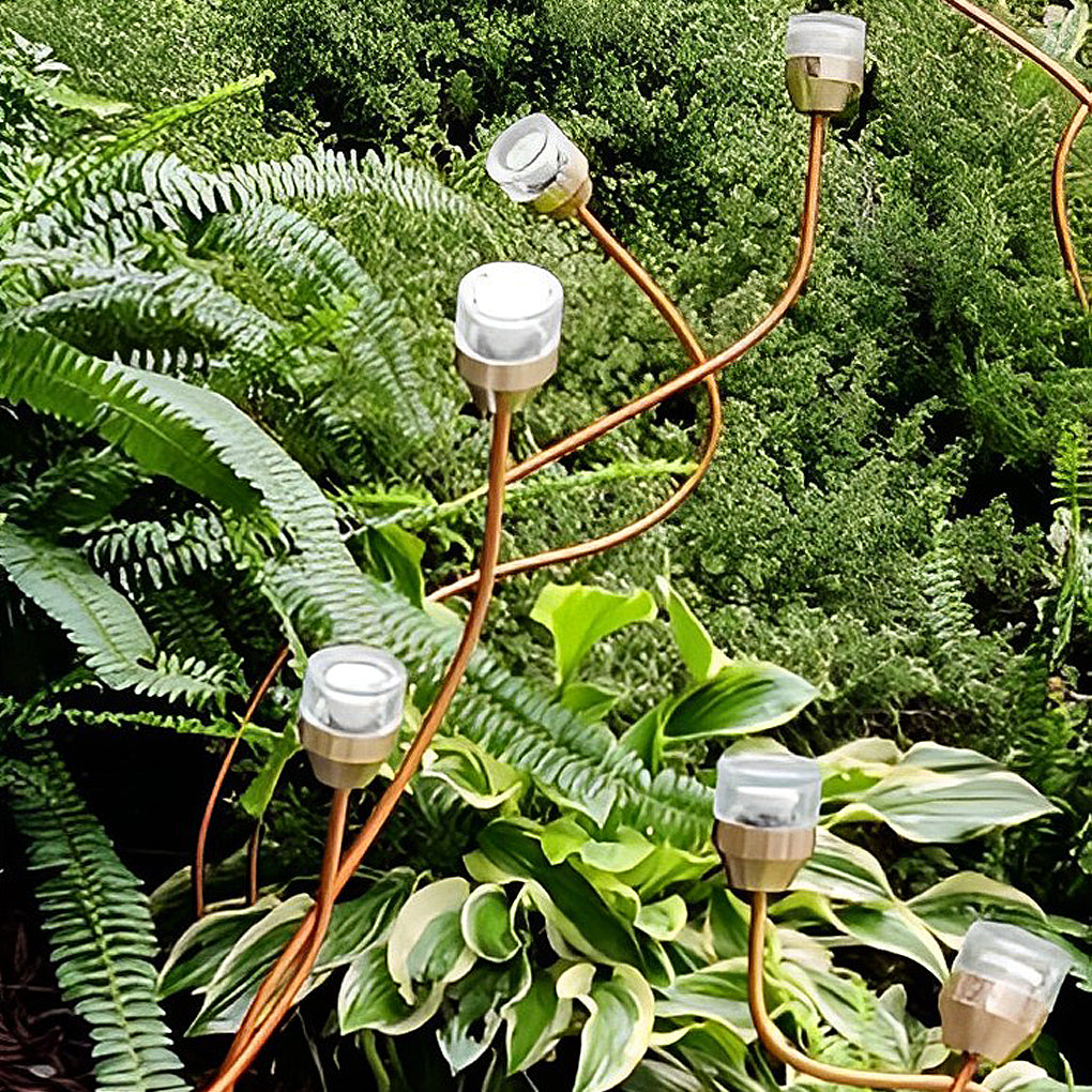 Flower Bud LED Lawn Light — Stainless Steel & Glass, Apple and Grape Designs, 10W, IP65, 24V Warm White (3000K)