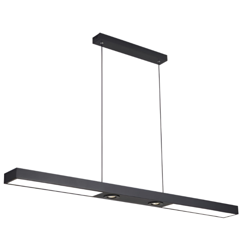 Linear LED Flush-Mount Ceiling Light — Black Iron, Adjustable Spotlights, 2- or 3-Light, 3000K / 6000K