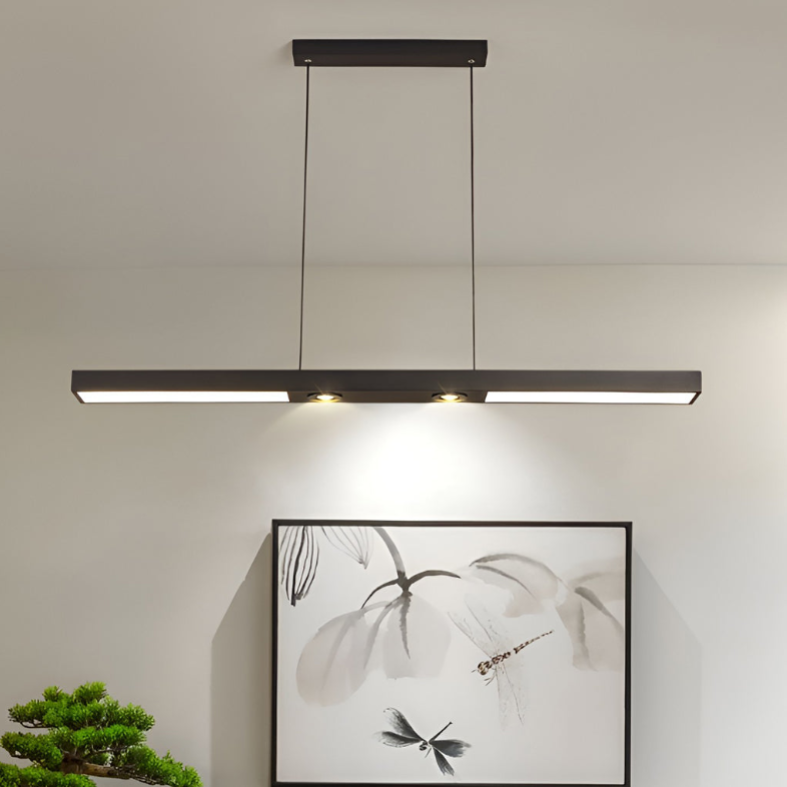 Linear LED Flush-Mount Ceiling Light — Black Iron, Adjustable Spotlights, 2- or 3-Light, 3000K / 6000K