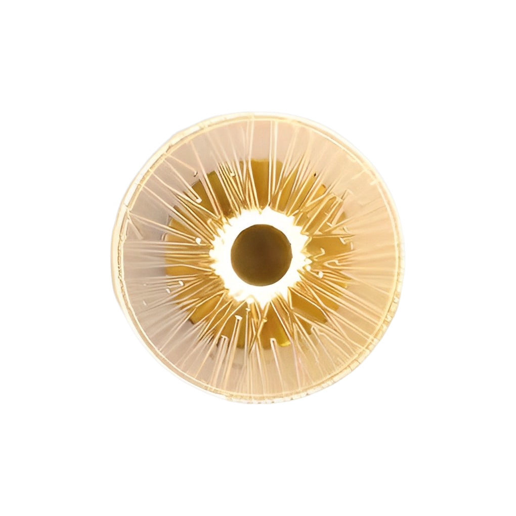 Round Glass Wall Sconce — Iron and Glass, Post-Modern LED, Warm White 3000K, 1- to 9-Light Configurations