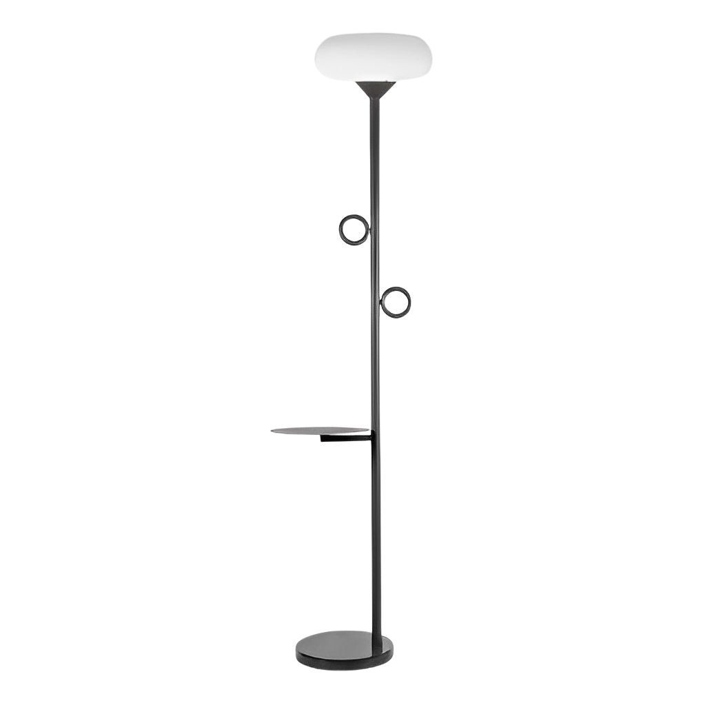 Modern Outdoor Floor Lamp — Black Steel, LED 3000K, Remote Control, IP65 Weatherproof, 12" × 75"