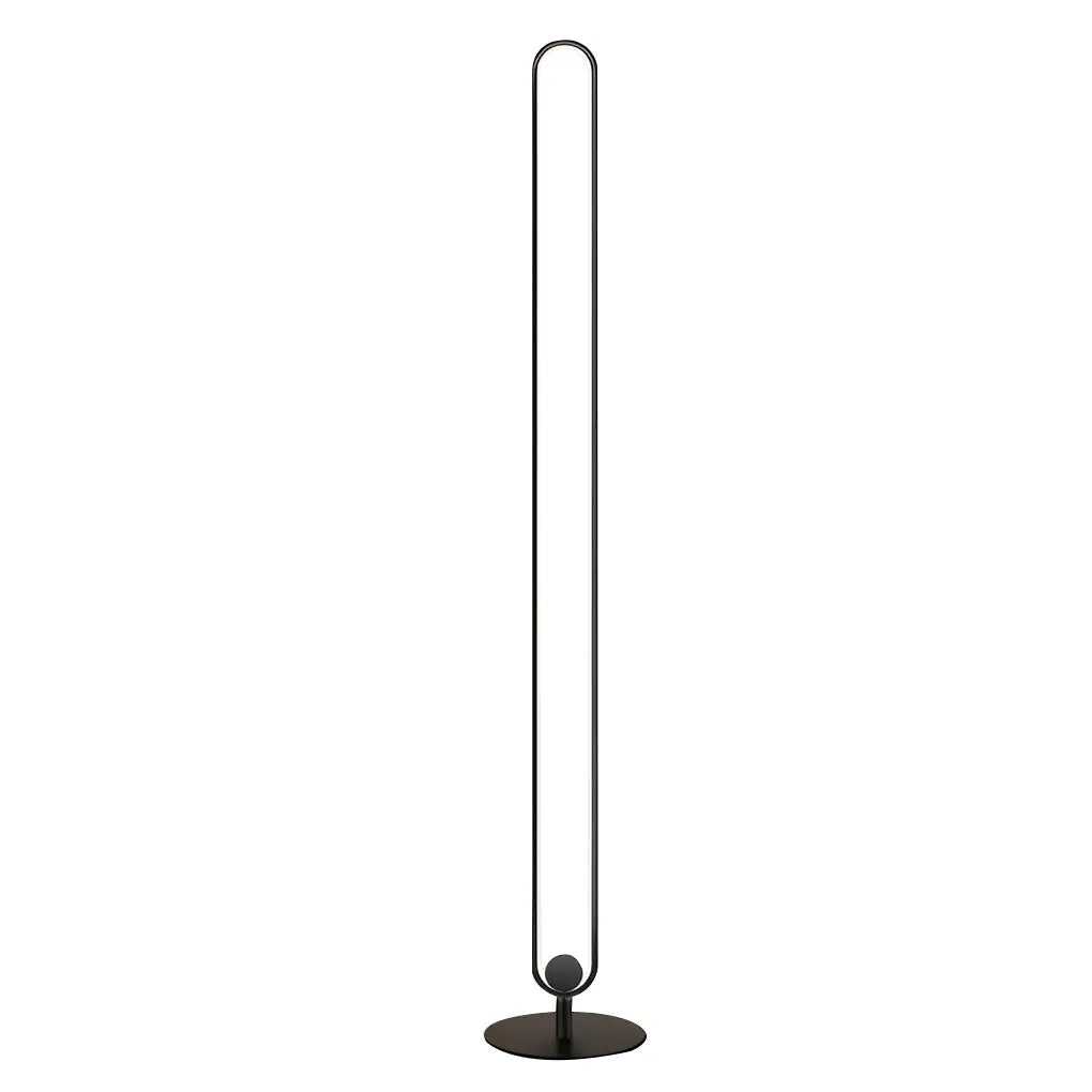 Contemporary Minimalist Oval LED Floor Lamp Luxe