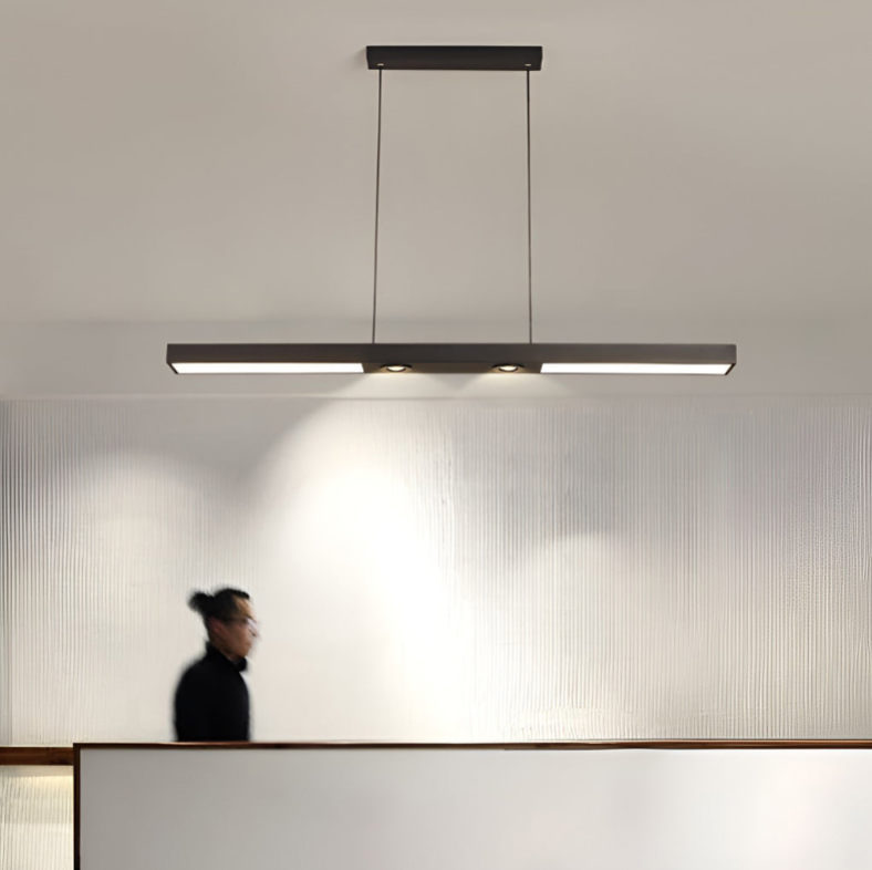 Linear LED Flush-Mount Ceiling Light — Black Iron, Adjustable Spotlights, 2- or 3-Light, 3000K / 6000K