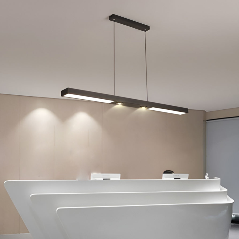 Linear LED Flush-Mount Ceiling Light — Black Iron, Adjustable Spotlights, 2- or 3-Light, 3000K / 6000K