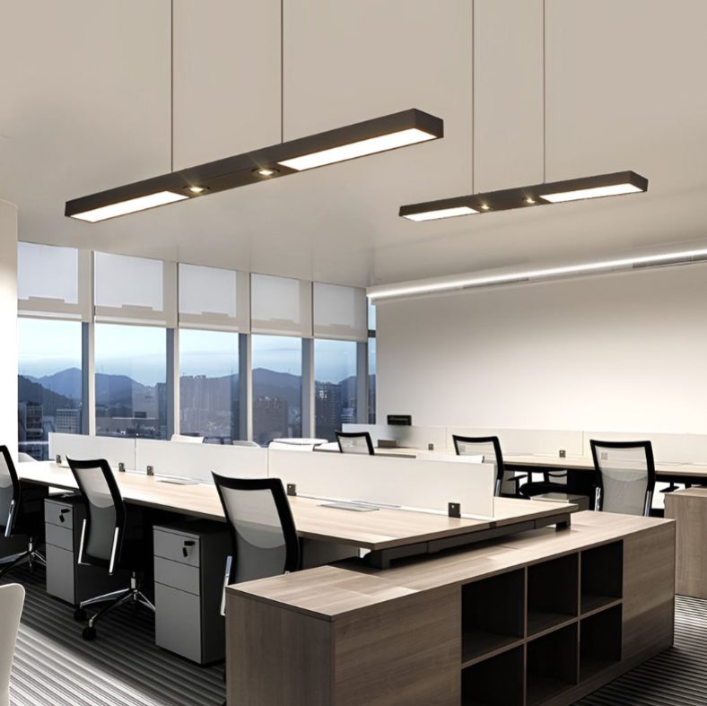 Linear LED Flush-Mount Ceiling Light — Black Iron, Adjustable Spotlights, 2- or 3-Light, 3000K / 6000K