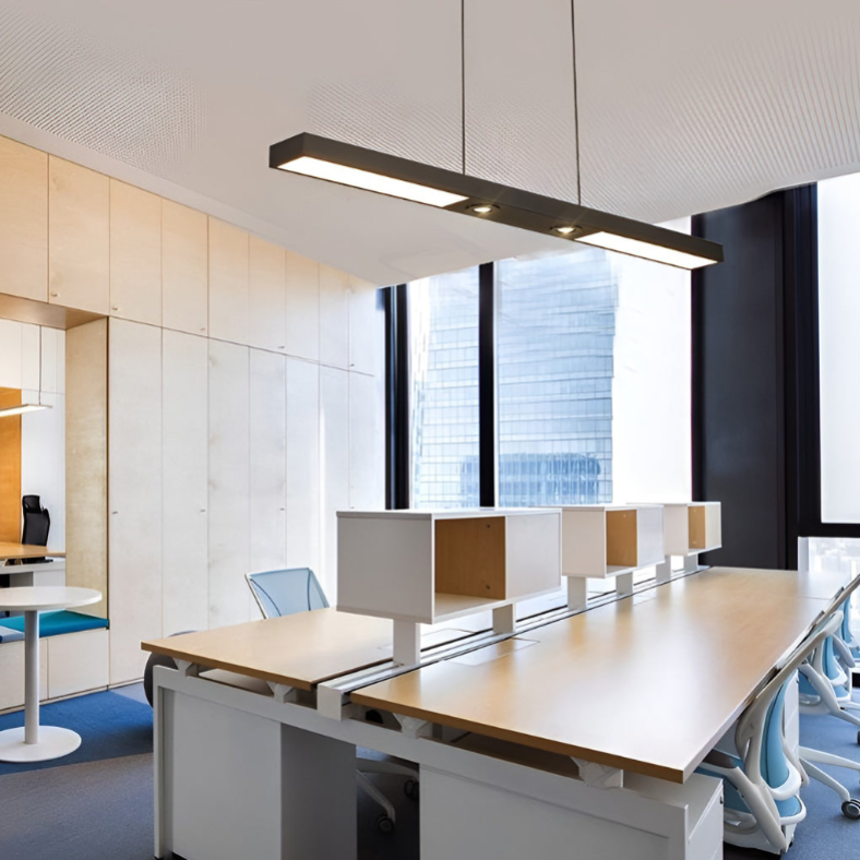 Linear LED Flush-Mount Ceiling Light — Black Iron, Adjustable Spotlights, 2- or 3-Light, 3000K / 6000K