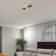 6 light peg flush mount spotlight with white rectangular plate