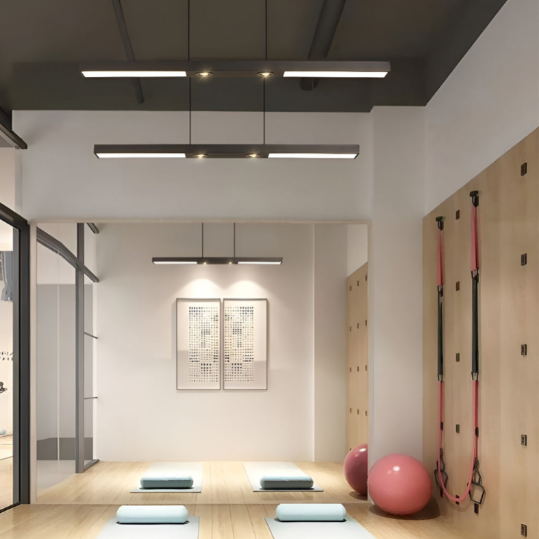 Linear LED Flush-Mount Ceiling Light — Black Iron, Adjustable Spotlights, 2- or 3-Light, 3000K / 6000K