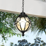 Glass Ball Outdoor Hanging Light — Die-Cast Aluminum, LED, Waterproof, Black or Bronze