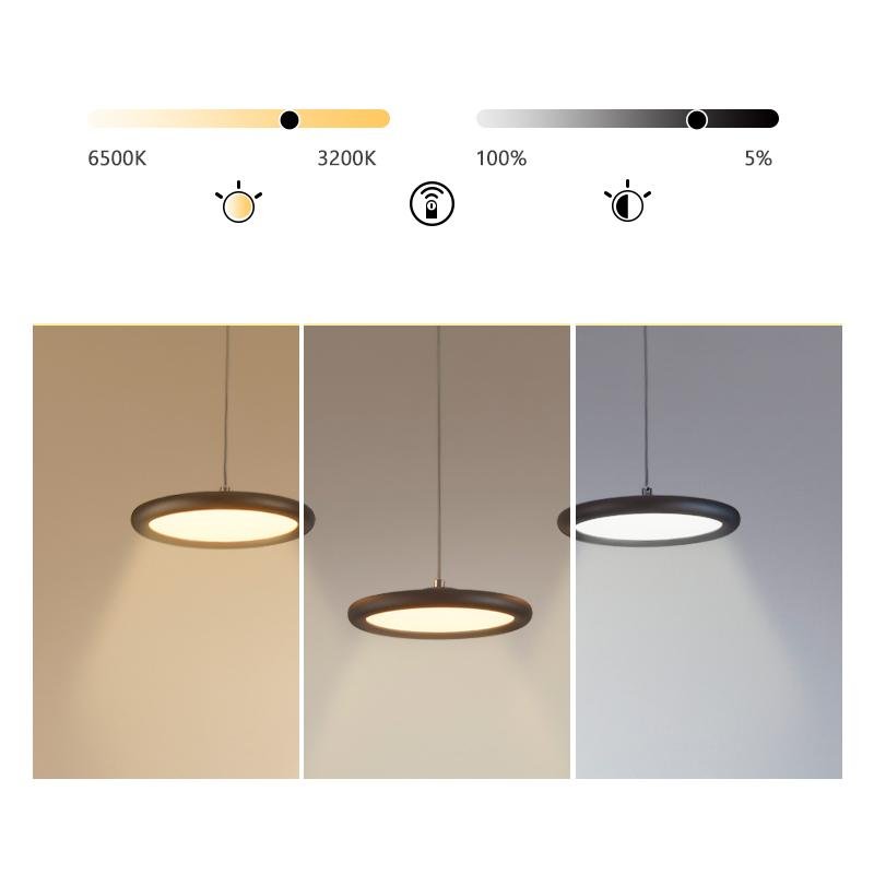Geometric Circle Pendant Light — Aluminum & PMMA, 3-Head, 24" Diameter, LED Integrated, Black