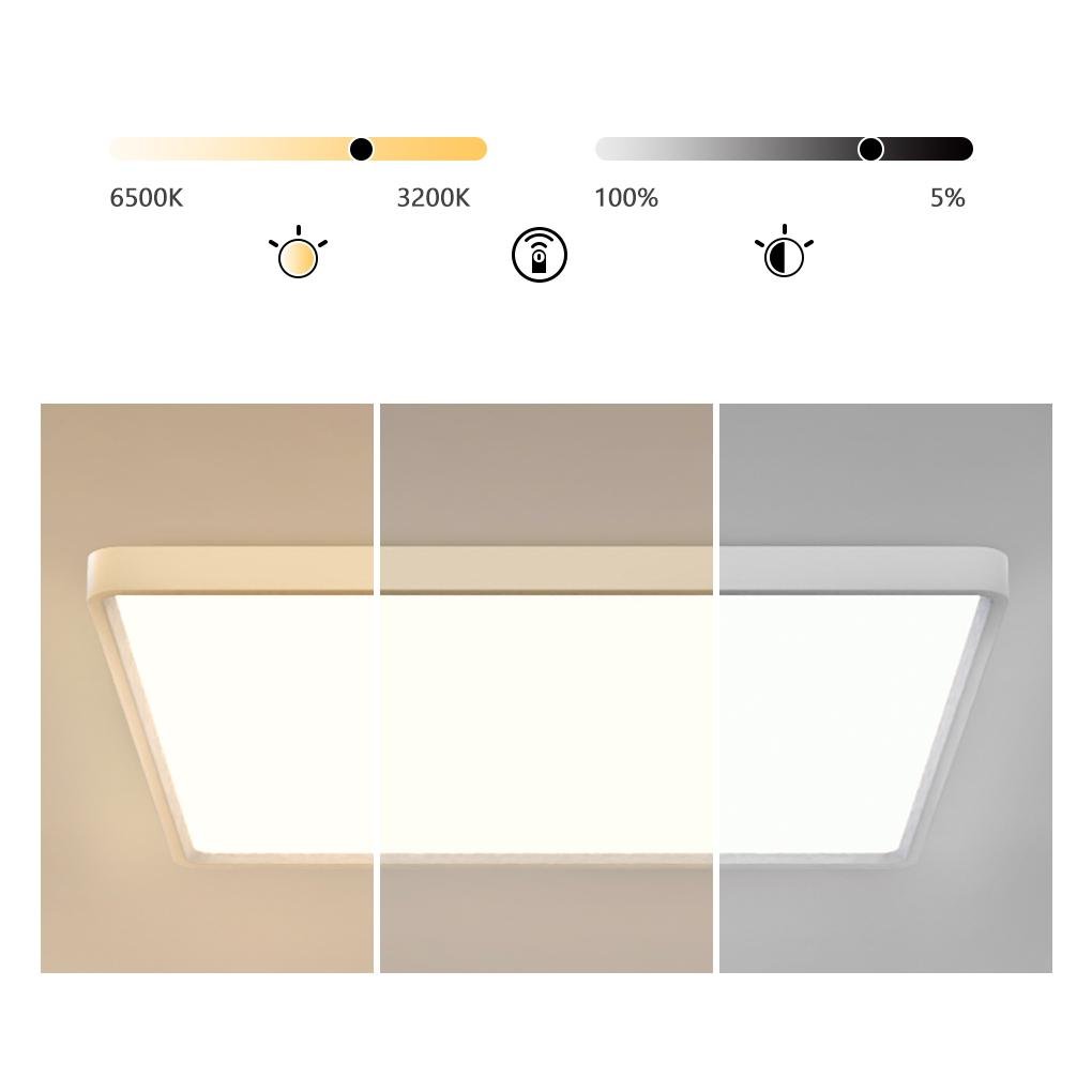 Minimalist Flush-Mount Ceiling Light — Iron and PMMA, LED, 3-Color Dimming, Remote Control, 60W, 20" or 30"