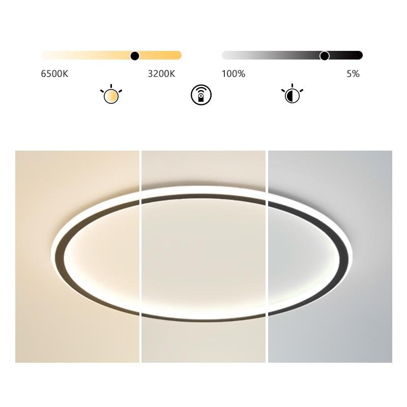 Industrial Round Black-Framed LED Flush-Mount — Aluminum, Stepless Dimming, 20" or 30"