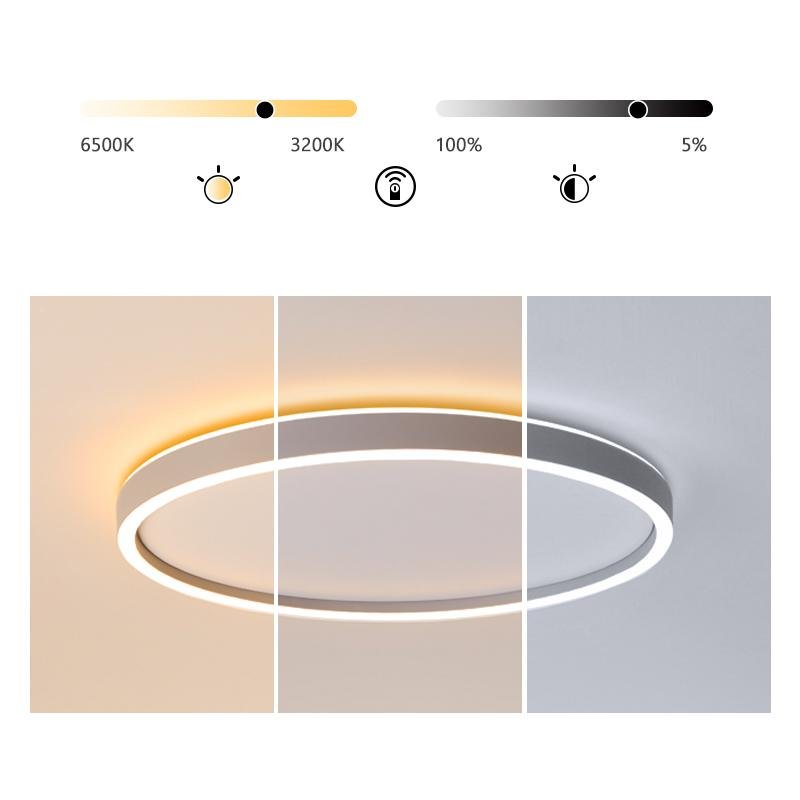Modern Halo Circle LED Flush-Mount Ceiling Light — Aluminum & PMMA, Stepless Dimming, Remote Control, 16" or 24"