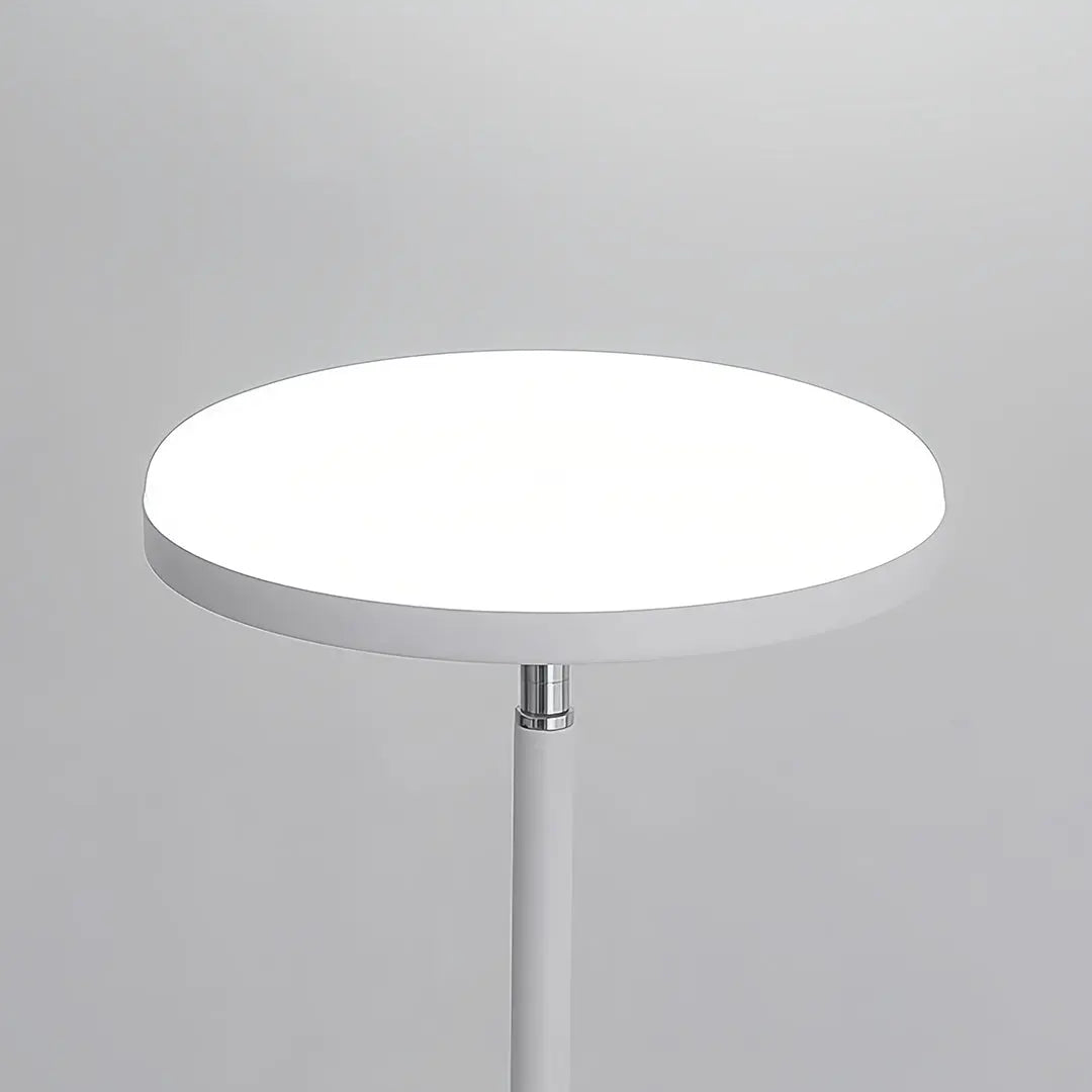 Uplight Floor Lamp with Ambient and Downlight for Reading Luxe