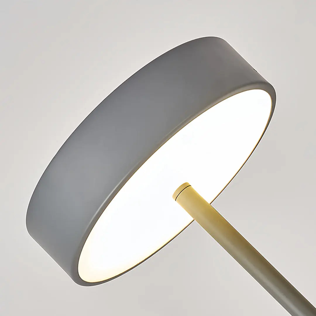 Modern Dimmable Petite Floor Lamp - Contemporary Reading Pole Light Luxe