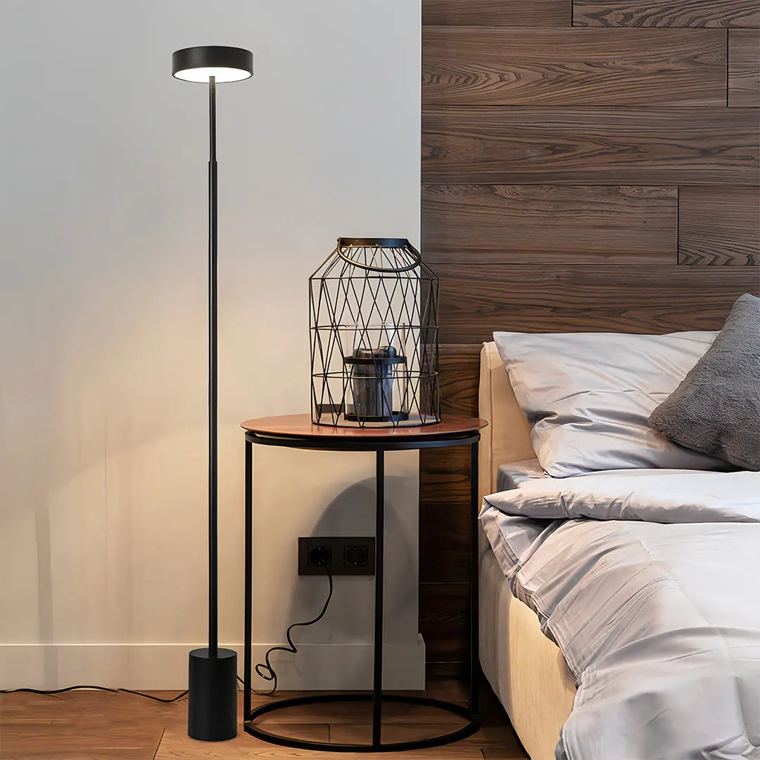 Modern Dimmable Petite Floor Lamp - Contemporary Reading Pole Light Luxe