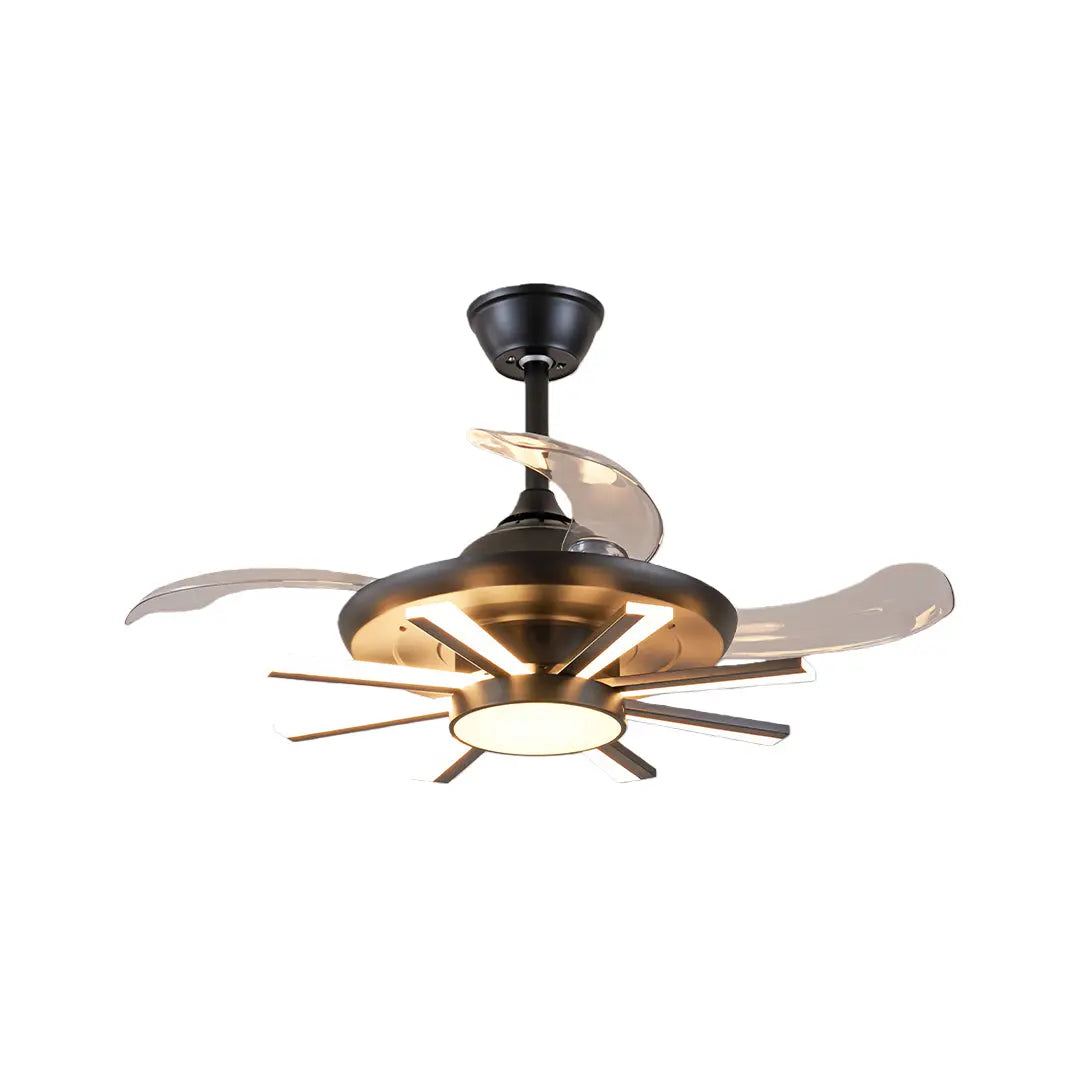 Luxury Multi-Head Iron Body Black Ceiling Fan with Light - Modern Design Luxe