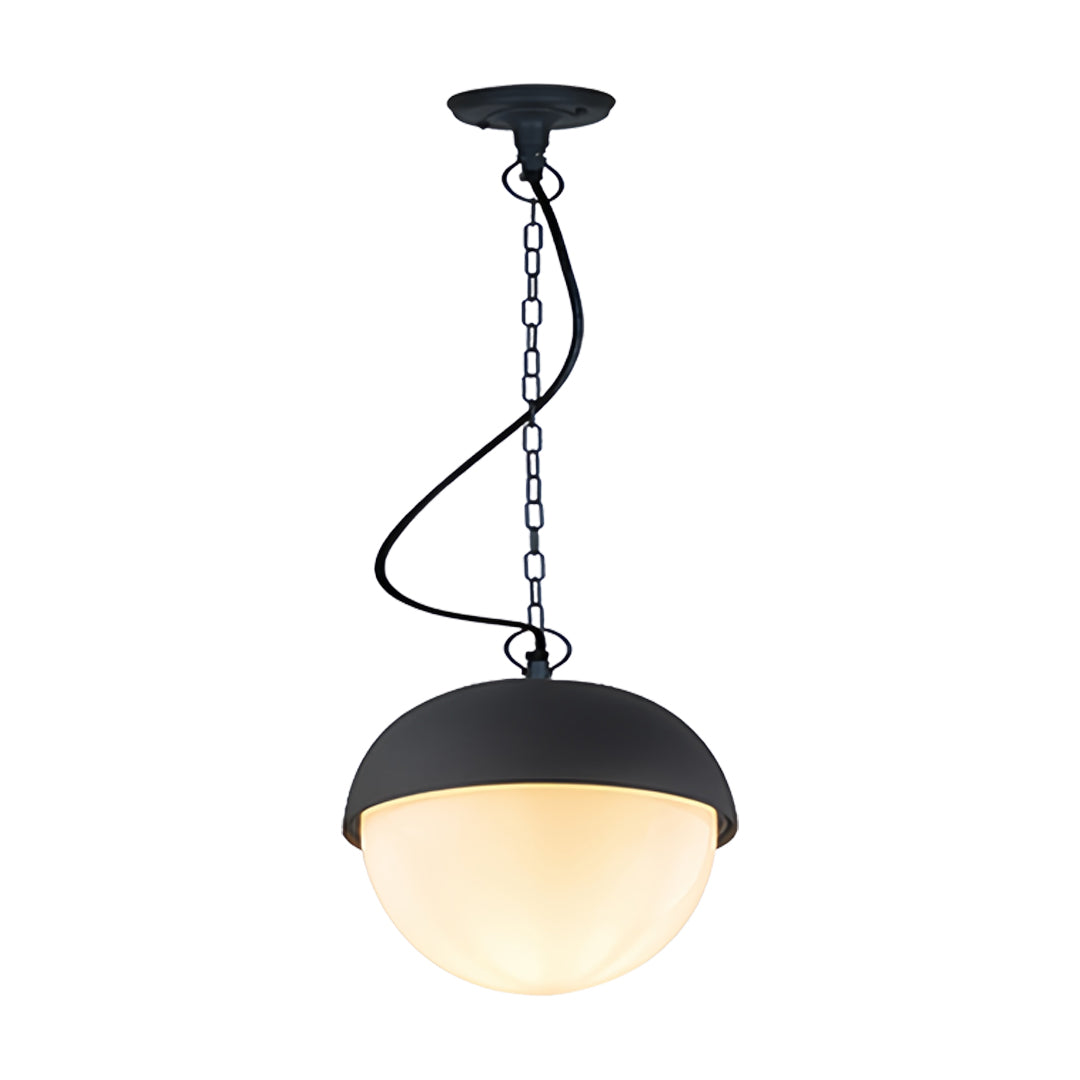Black Outdoor Pendant Light — Die-Cast Aluminum, 20W LED, IP54, 19.7" Chain