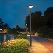 black solar led street lamp post and pole lights