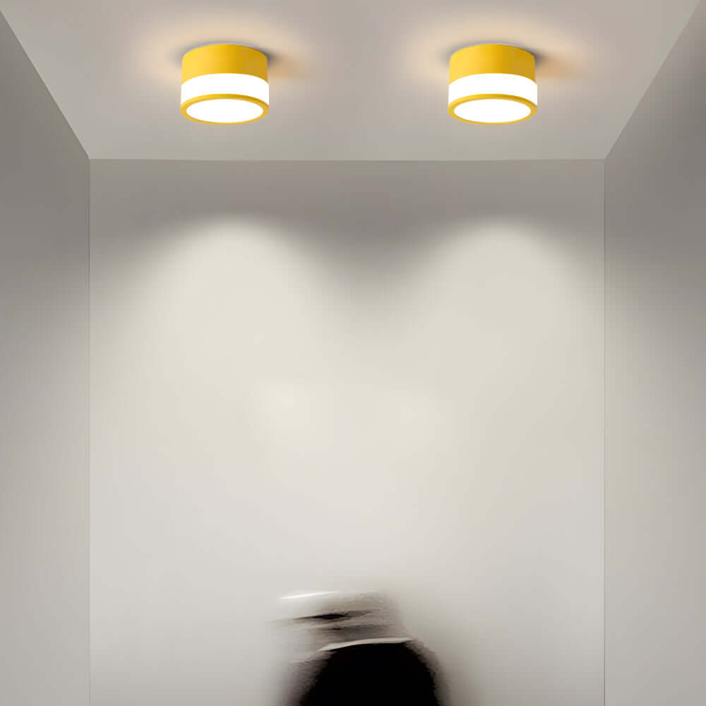 Modern Minimalist Round LED Flush Mount Ceiling Lights