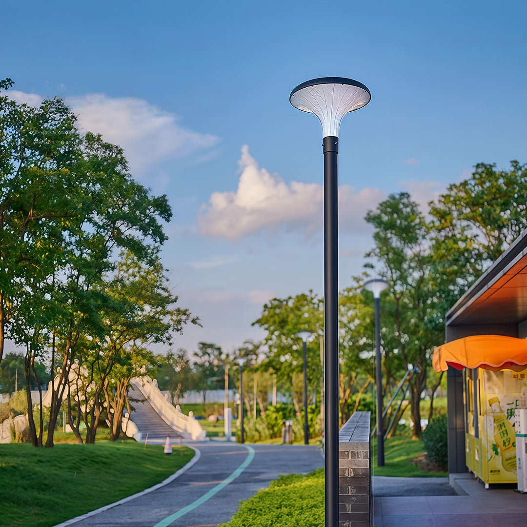 High-Pole Outdoor Street Light — Black Die-Cast Aluminum, 40W LED, Solar or Hardwired, IP65, 3000K / 6000K