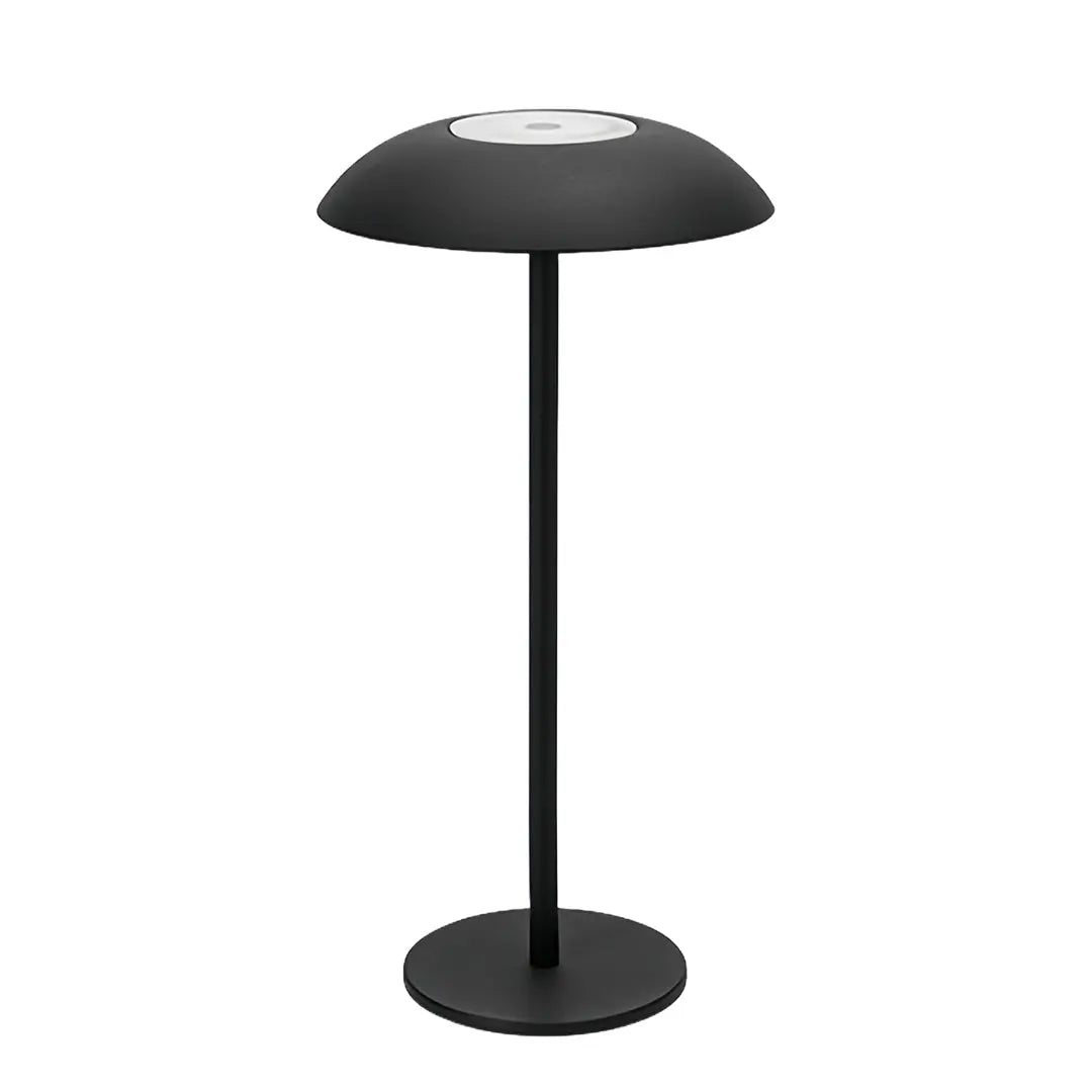 Minimalist Contemporary LED Table Lamp - Rechargeable and Dimmable Luxe