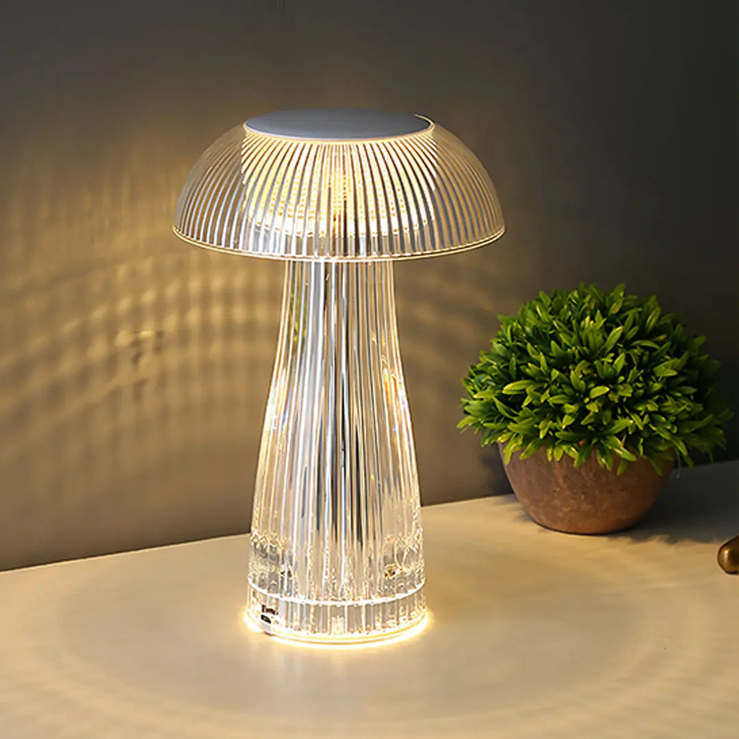 Transparent Acrylic Table Lamps - Clear, Portable, and Decorative Luxe