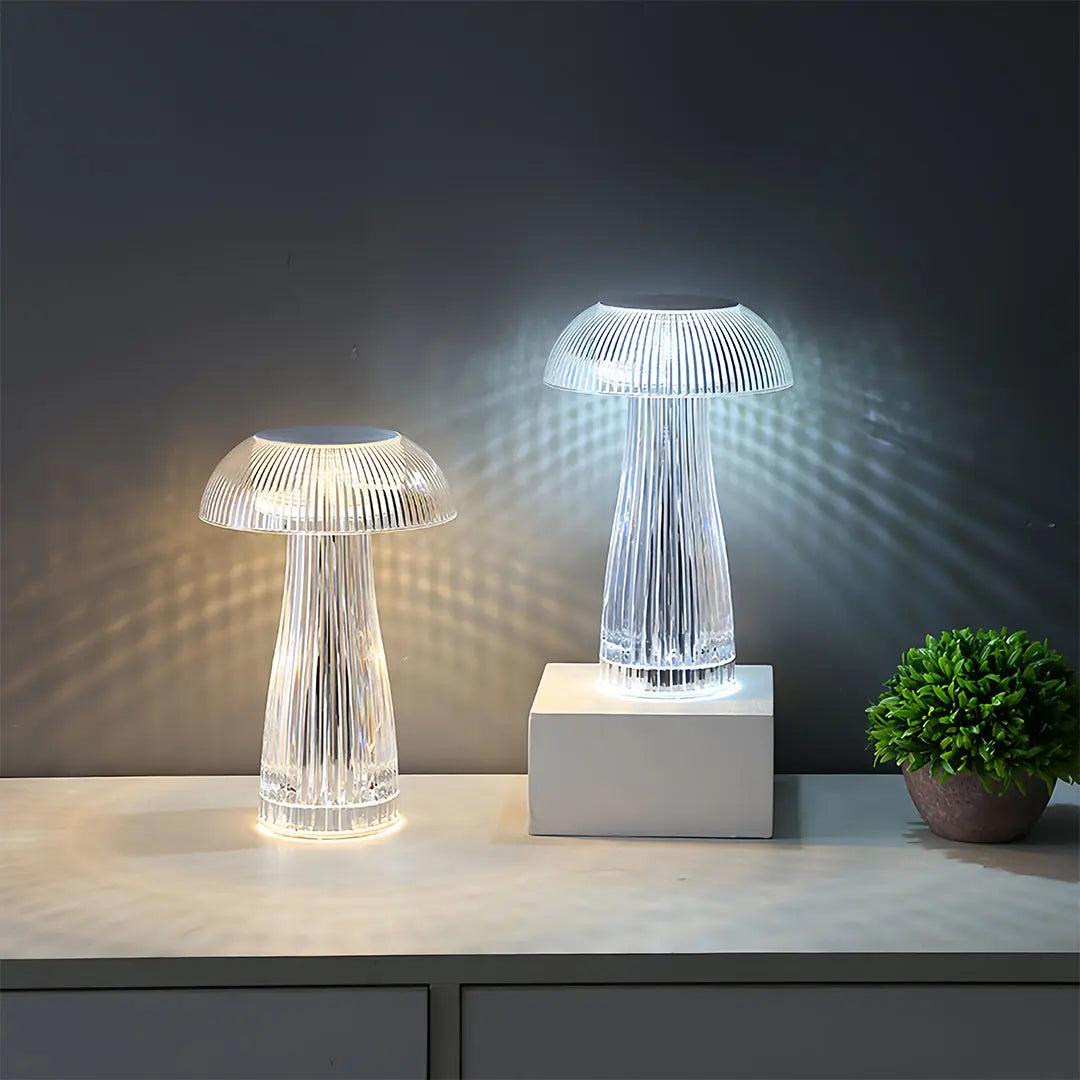 Transparent Acrylic Table Lamps - Clear, Portable, and Decorative Luxe
