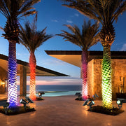Adjustable RGB Solar Ground Spike Spotlight — Aluminum, 5W LED, IP65 Weatherproof, Warm White / RGB