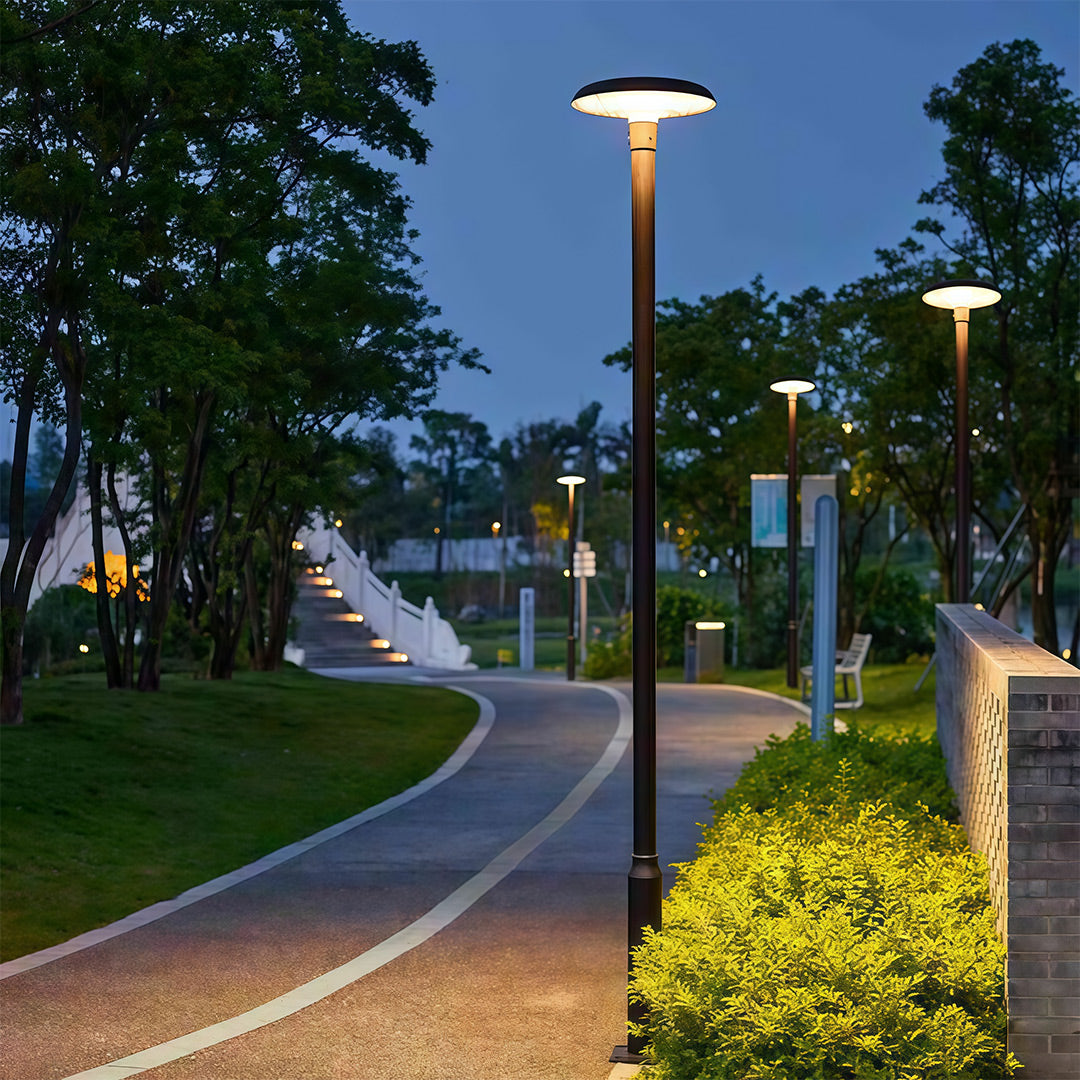 High-Pole Outdoor Residential Street Light — Die-Cast Aluminum, Solar 20W or Hardwired 50W, IP65, 3000K / 6000K, 124" Height