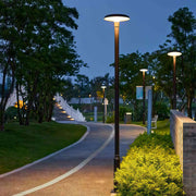 High-Pole Outdoor Residential Street Light — Die-Cast Aluminum, Solar 20W or Hardwired 50W, IP65, 3000K / 6000K, 124" Height