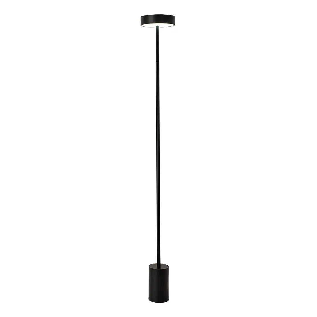 Modern Dimmable Petite Floor Lamp - Contemporary Reading Pole Light Luxe