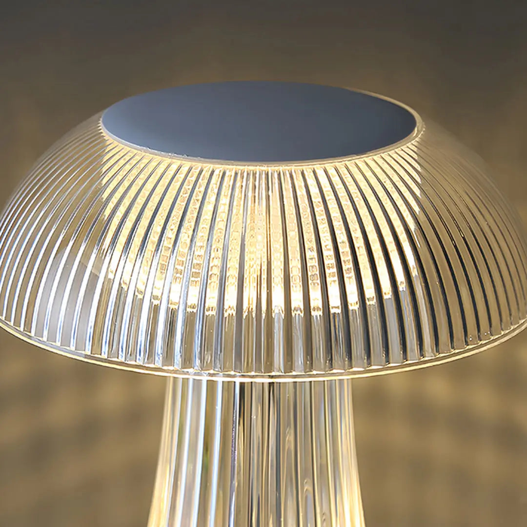 Transparent Acrylic Table Lamps - Clear, Portable, and Decorative Luxe