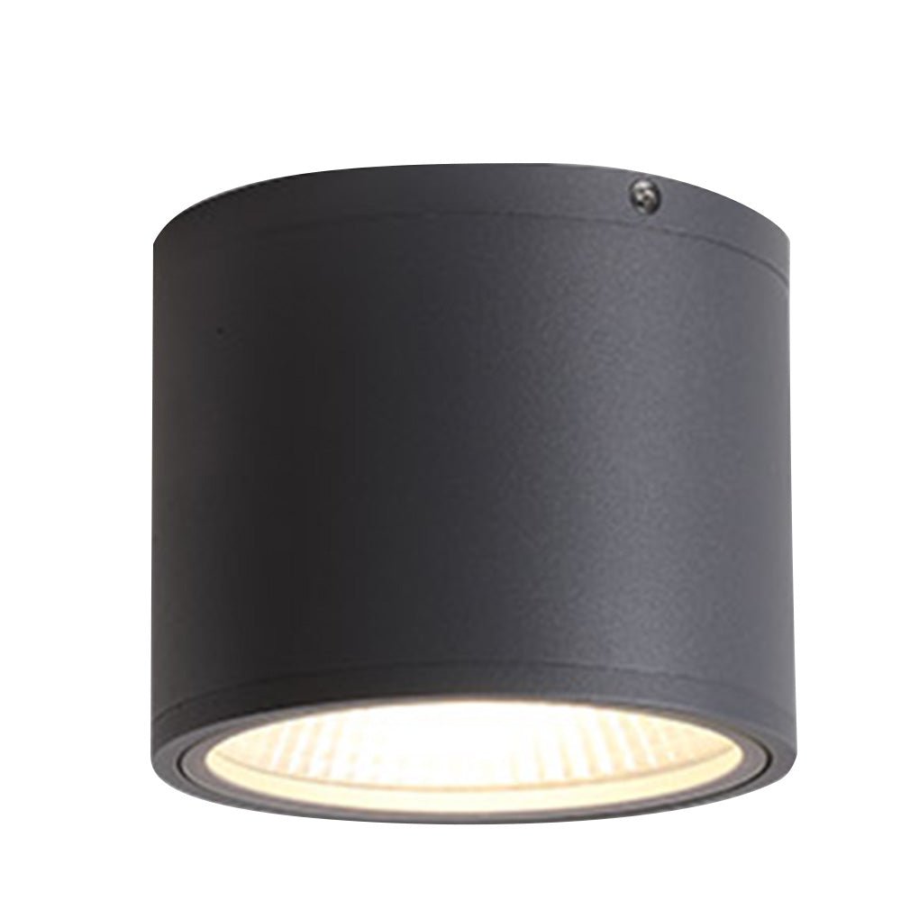 Cylindrical Surface-Mount Downlight — Aluminum & Glass, COB LED 8W/12W, IP54 Weatherproof