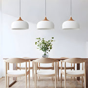 Dome Pendant Light — Aluminum and Wood, Modern 1-Light, E27, 10W LED, 11.8" or 13.8"