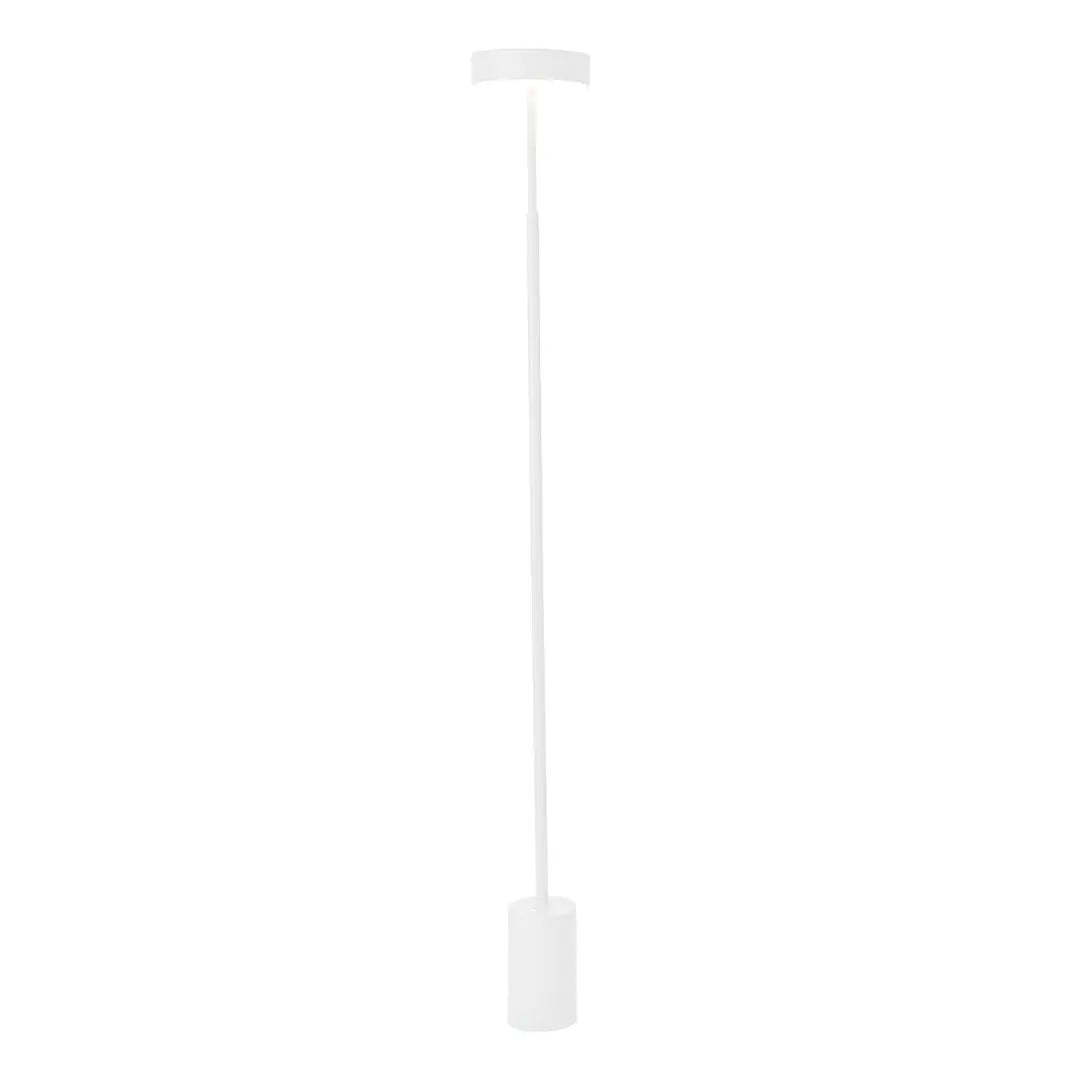 Modern Dimmable Petite Floor Lamp - Contemporary Reading Pole Light Luxe