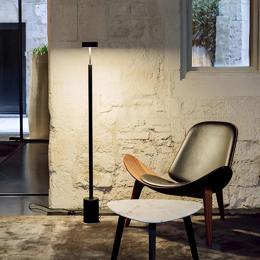 Modern Dimmable Petite Floor Lamp - Contemporary Reading Pole Light Luxe