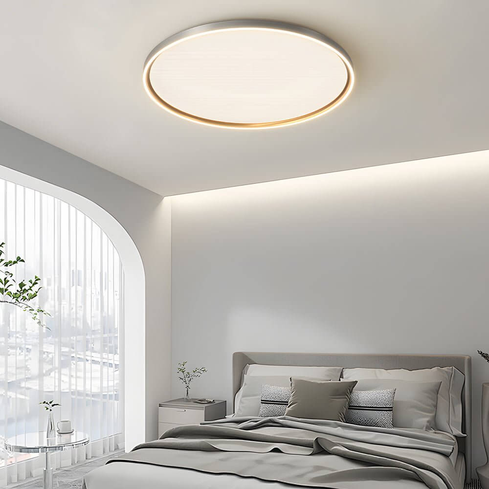 led ceiling light in brushed gray aluminum