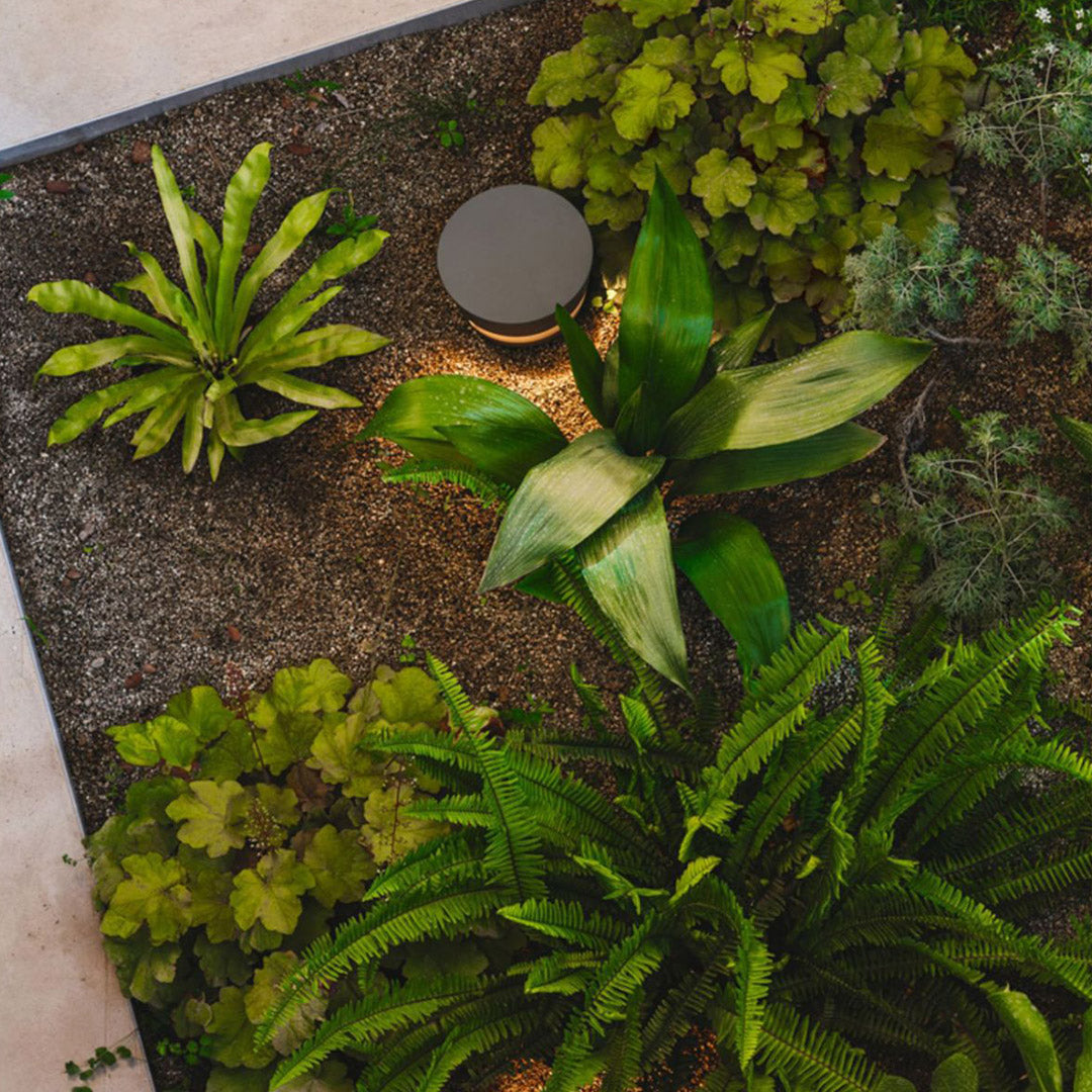 Minimalist Black Path Light — Stainless Steel, LED, 7W Hardwired or 2W Solar, IP65 Weatherproof, Dusk-to-Dawn