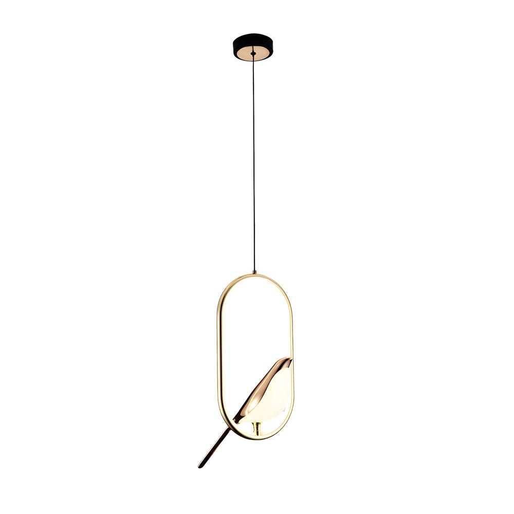 modern magpie pendant light circularoval ring design