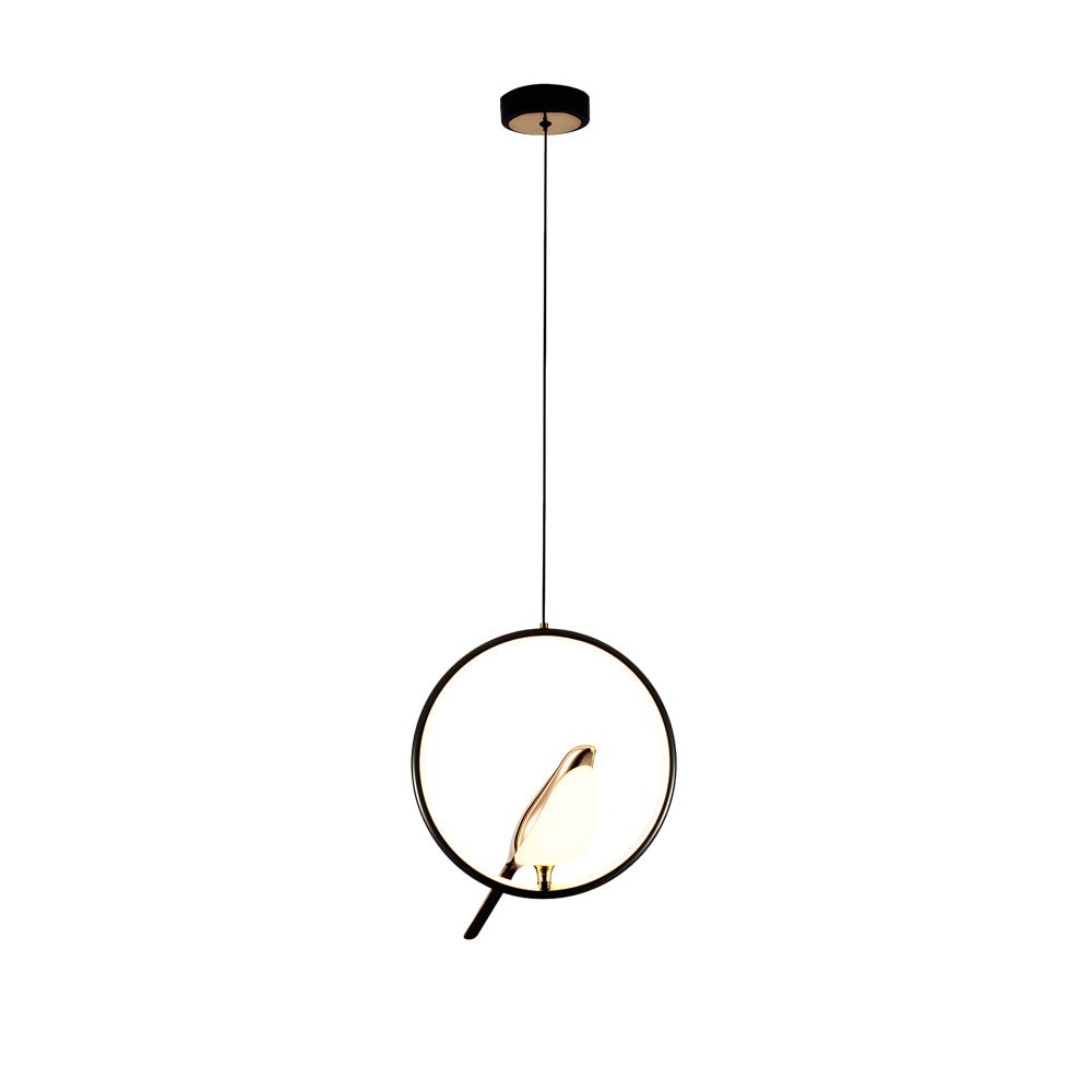 modern magpie pendant light circularoval ring design