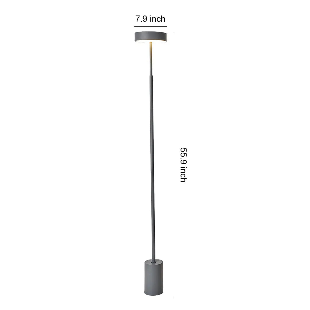 Modern Dimmable Petite Floor Lamp - Contemporary Reading Pole Light Luxe