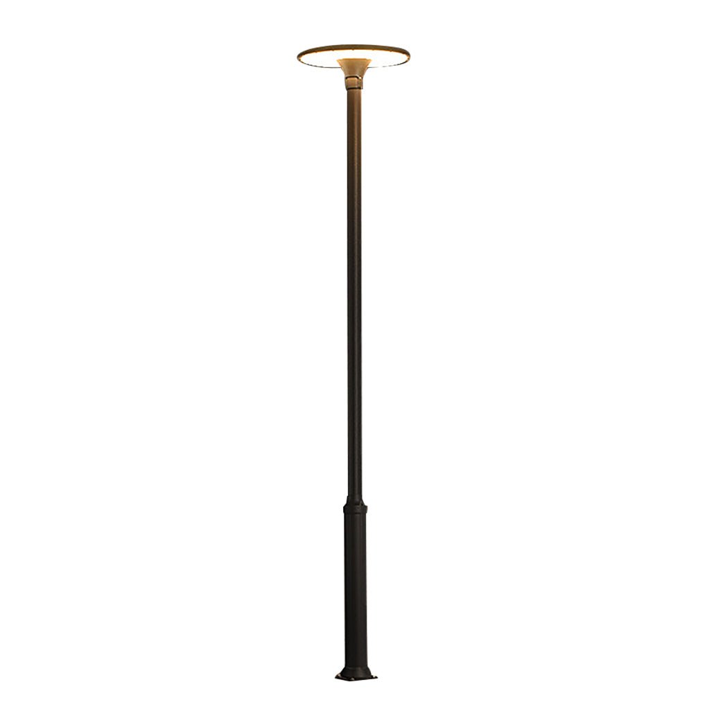 Modern Round Outdoor Pole Light — Flash Gray Aluminum, 60W LED, IP65, 138" H
