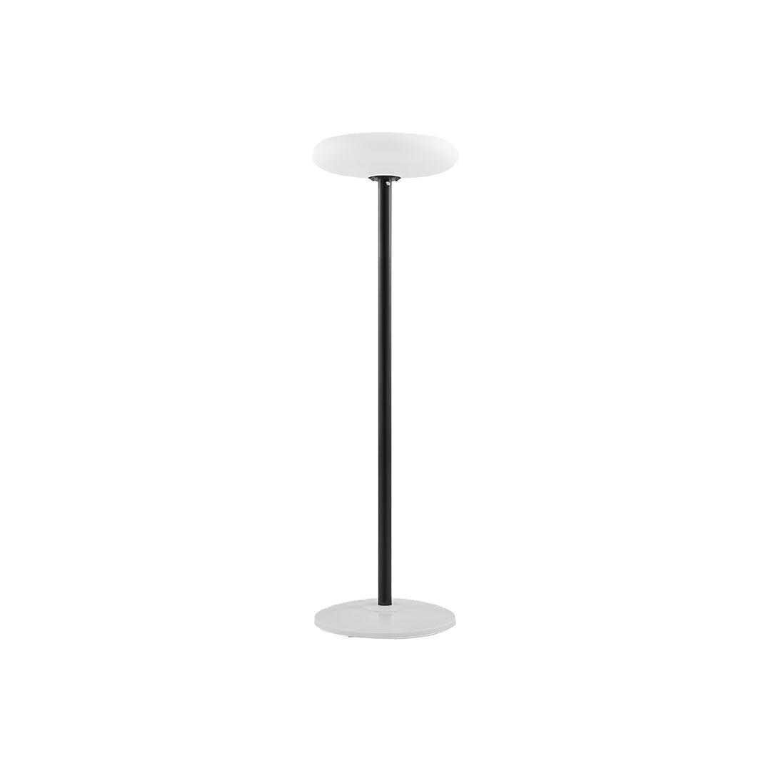Solar Outdoor Patio Floor Lamp — Aluminum and PE, 360° Diffusion, 8000mAh, IP65, 96cm / 175cm / 214cm