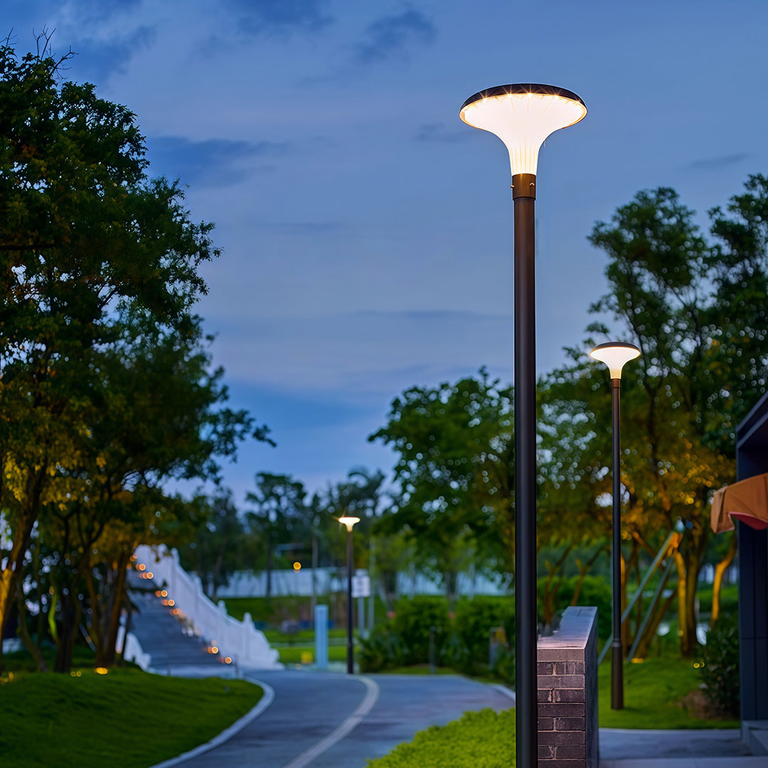 High-Pole Outdoor Street Light — Black Die-Cast Aluminum, 40W LED, Solar or Hardwired, IP65, 3000K / 6000K