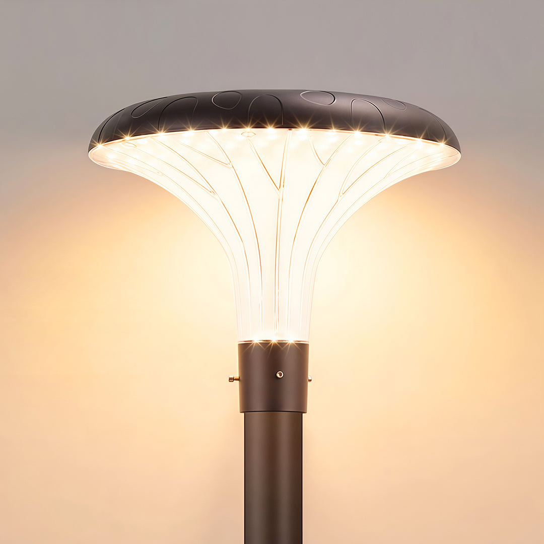 High-Pole Outdoor Street Light — Black Die-Cast Aluminum, 40W LED, Solar or Hardwired, IP65, 3000K / 6000K