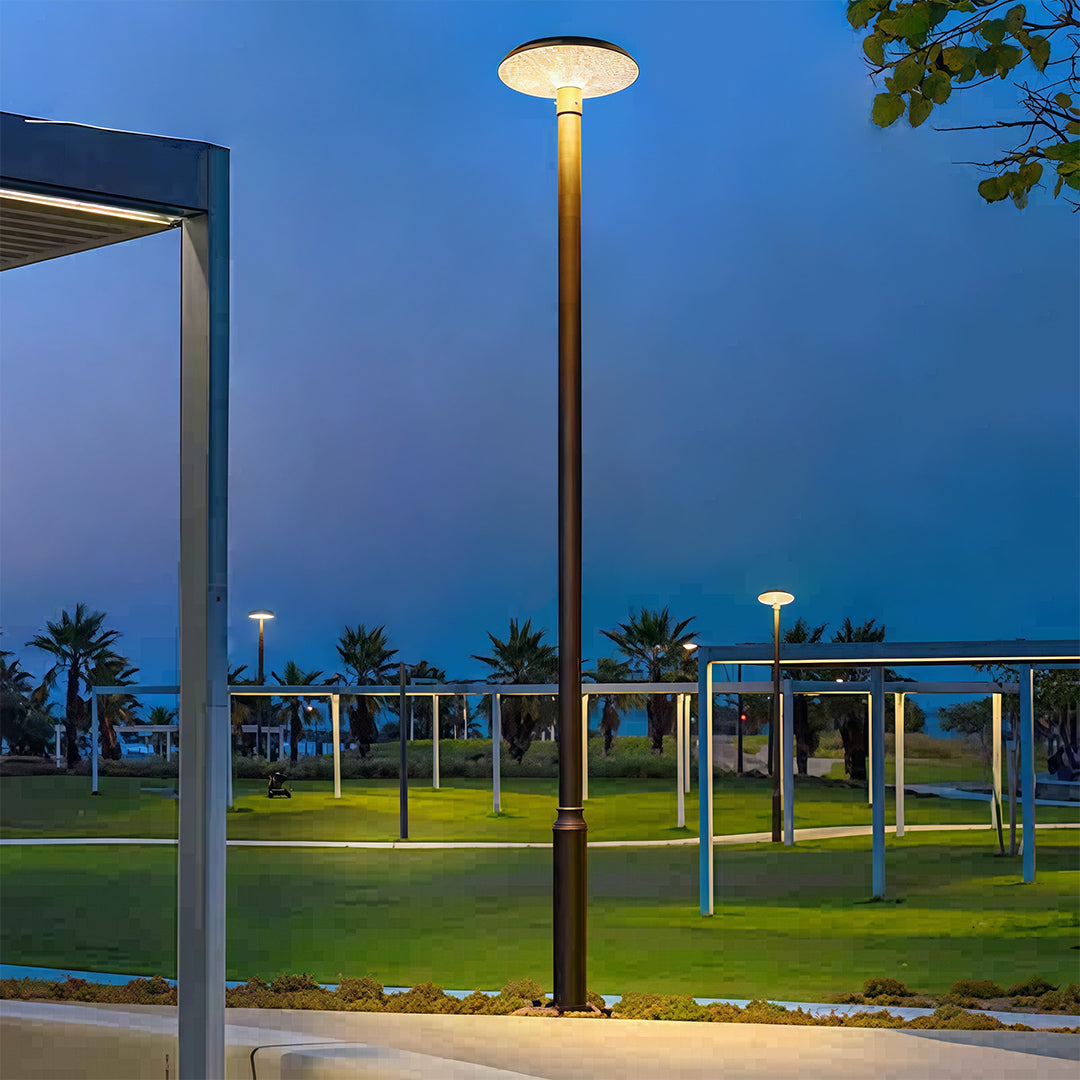 High-Pole Outdoor Residential Street Light — Die-Cast Aluminum, Solar 20W or Hardwired 50W, IP65, 3000K / 6000K, 124" Height