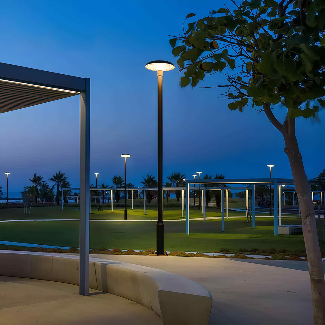 High-Pole Outdoor Residential Street Light — Die-Cast Aluminum, Solar 20W or Hardwired 50W, IP65, 3000K / 6000K, 124" Height