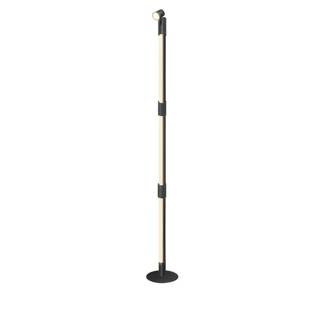 Remote-Controlled RGB Rotating Floor Lamp with Spotlight Luxe